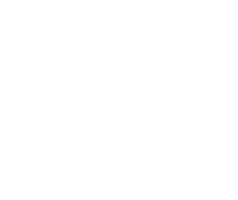 Government of South Australia Human Services